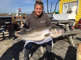 DON'T MISS OUT ON THIS  STRIPER RUN; BOOK A TRIP NOW!